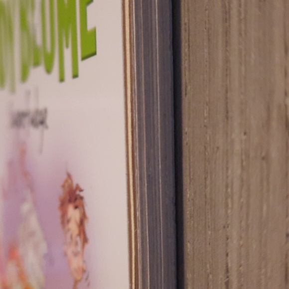 Secret Journal "Superfudge" - Picture 6 of 6